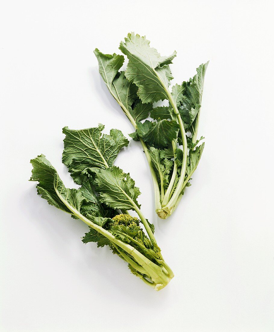 Cima di rapa (Cima di Lexe)