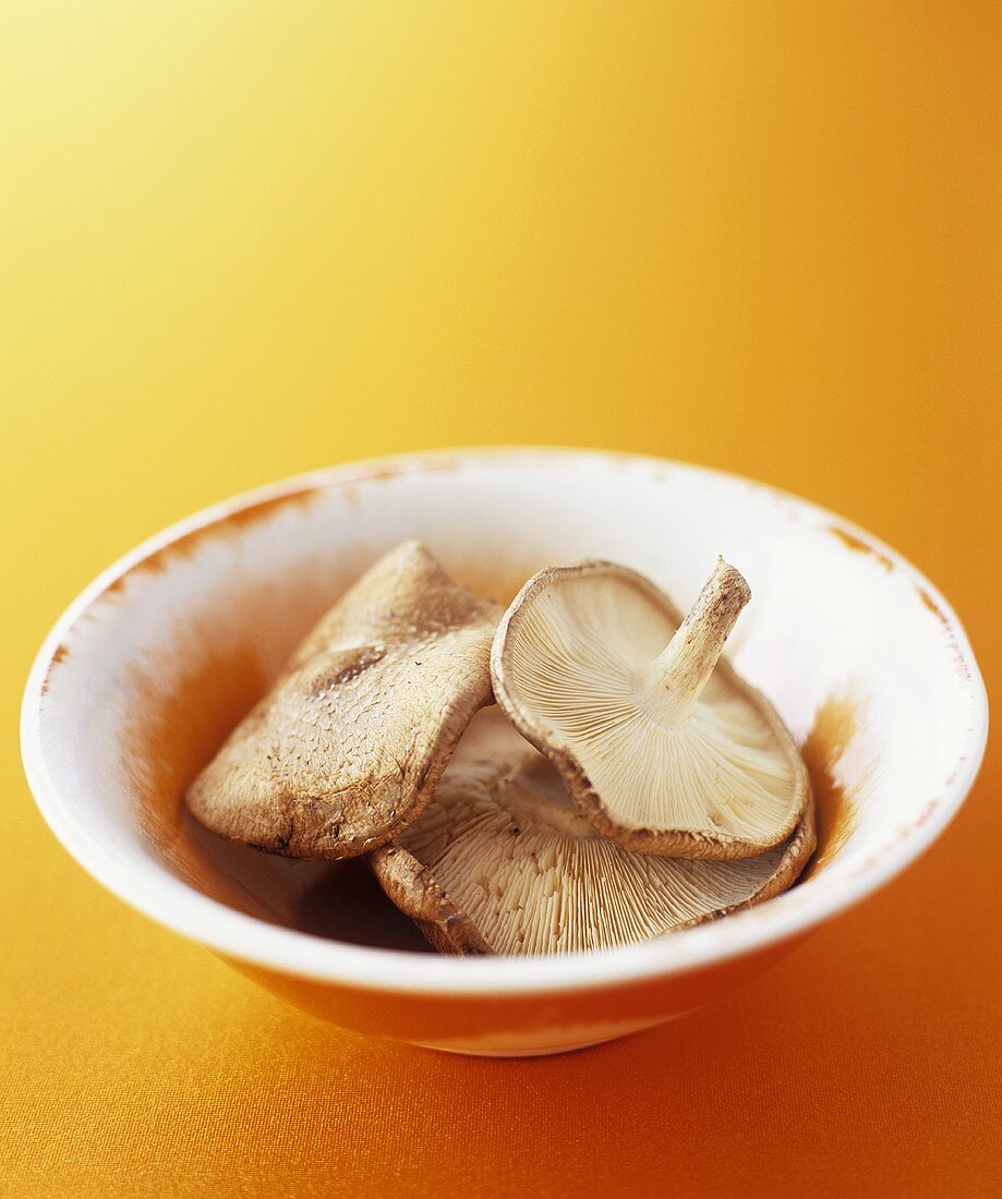 Fresh shiitake mushrooms in a bowl