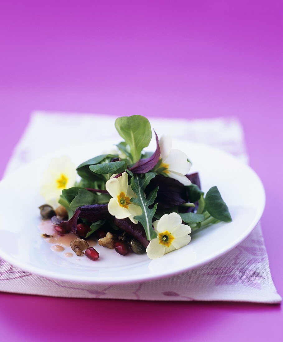 Herb salad with primroses and pomegranate seeds