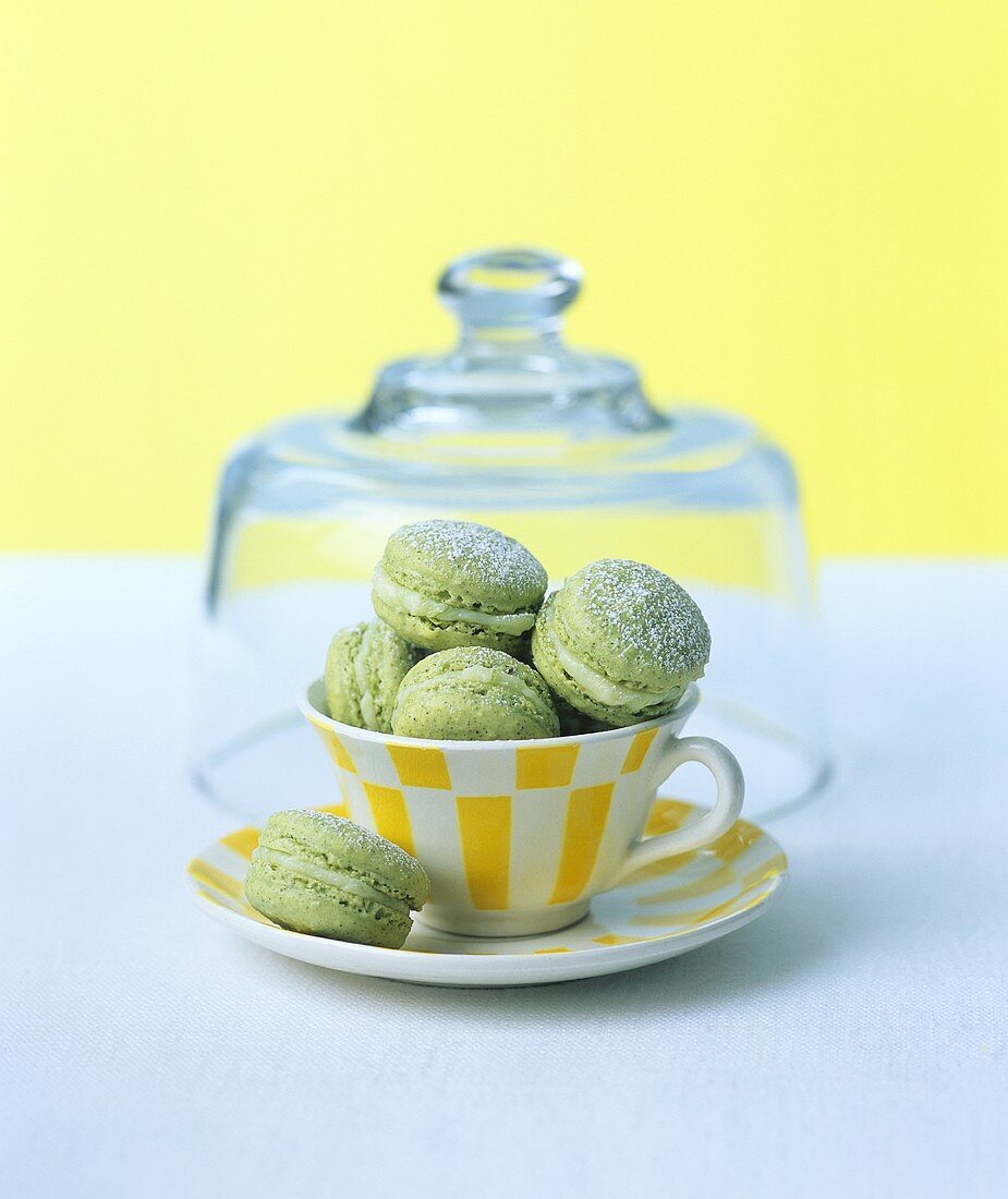 Green tea macarons with icing sugar in a cup and saucer
