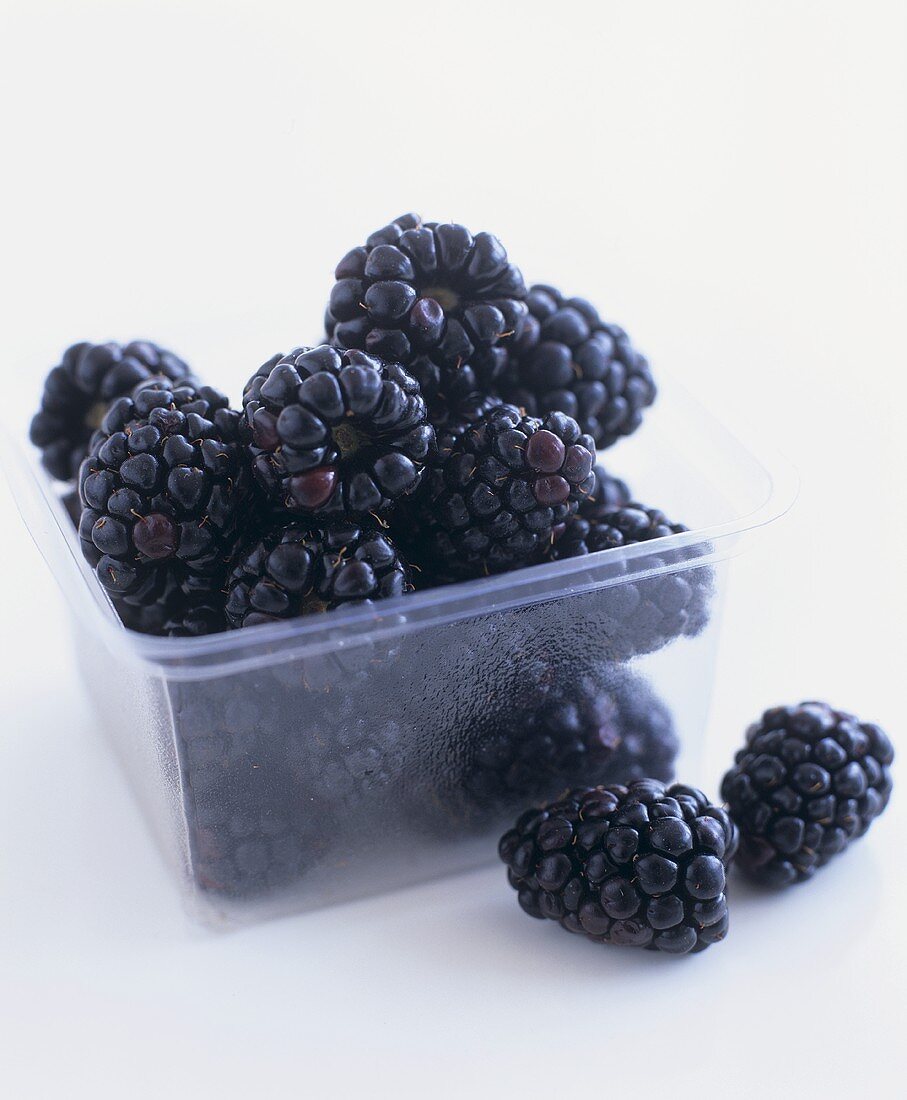 Blackberries in and beside a plastic punnet