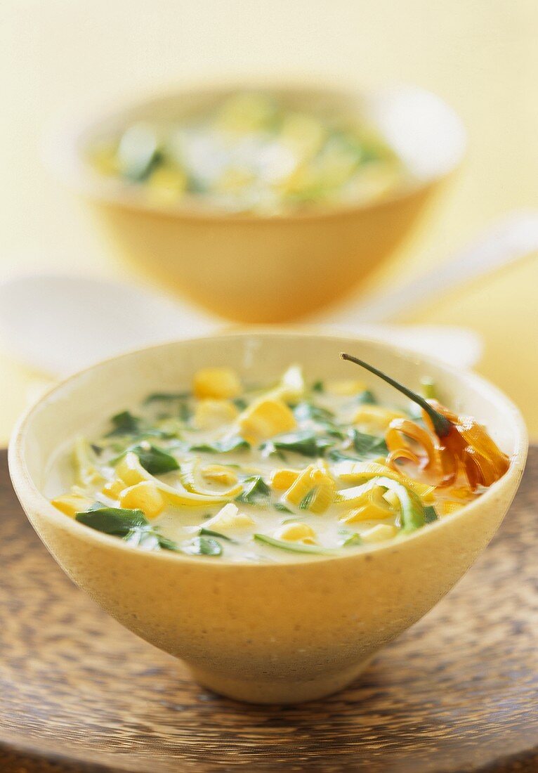 Spinach and leek soup with coconut milk