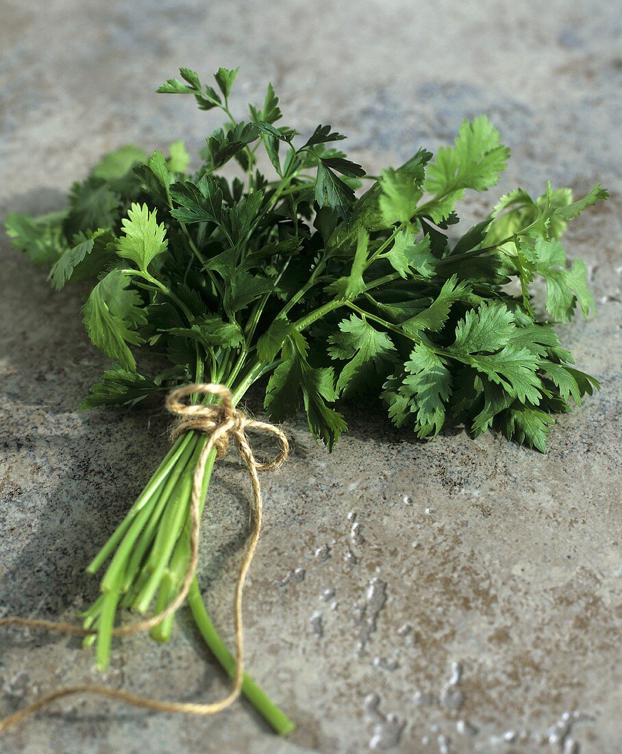 A bunch of fresh coriander on stone floor