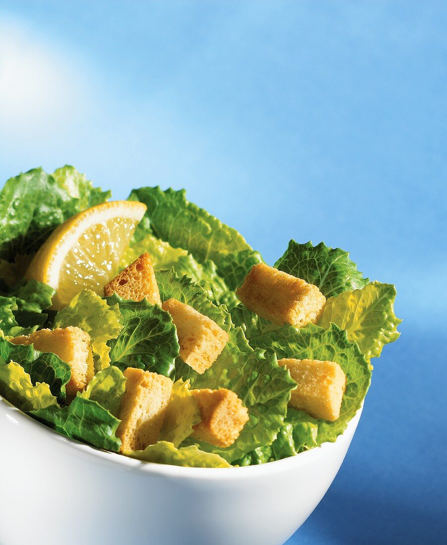Romaine lettuce with croutons, Caesar salad style