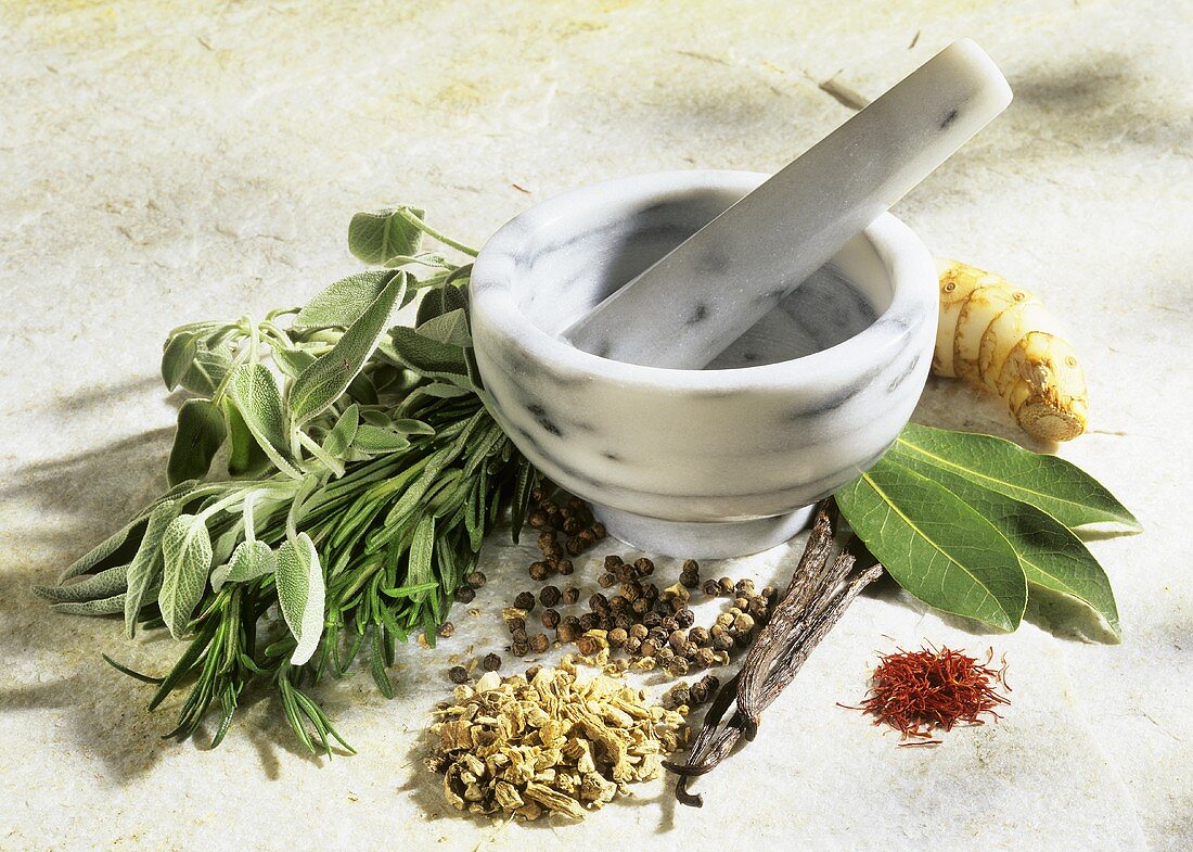 Still life with mortar and pestle, various herbs and spices