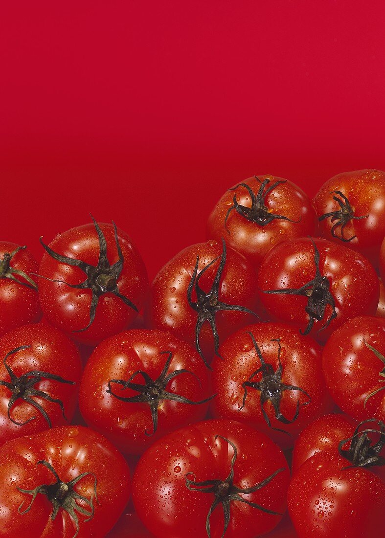 Tomaten auf rotem Untergrund mit Wassertropfen