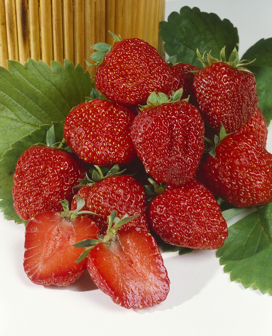 Erdbeeren der Sorte Polka