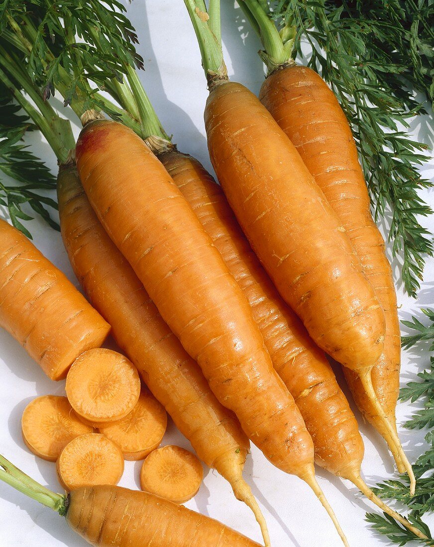 Carrots with tops on white background