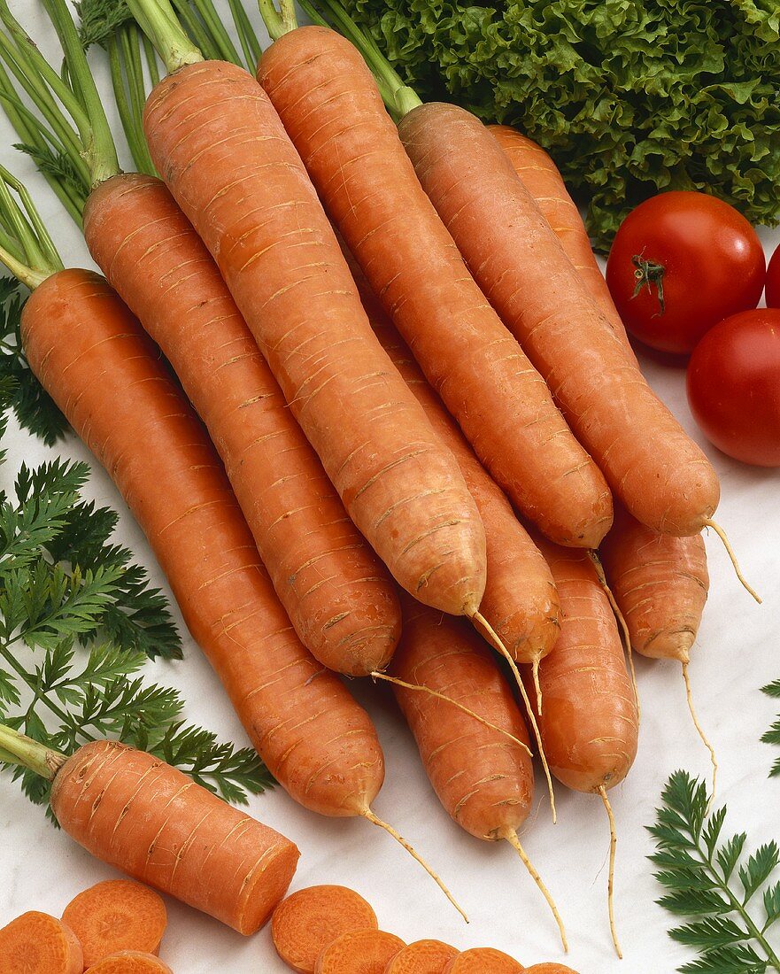 Carrots, variety 'Bolero'