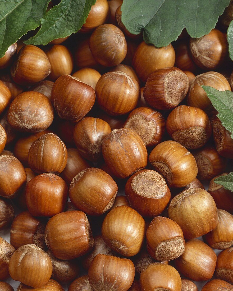 Hazelnuts