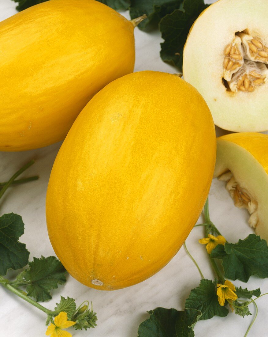Yellow honeydew melons