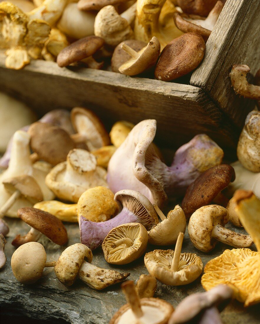 Mixed mushrooms