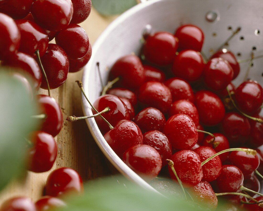 Ripe cherries in colander