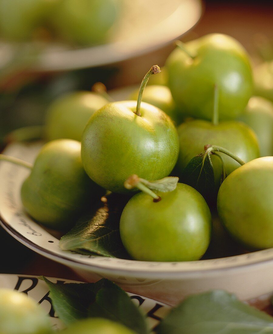 Greengages