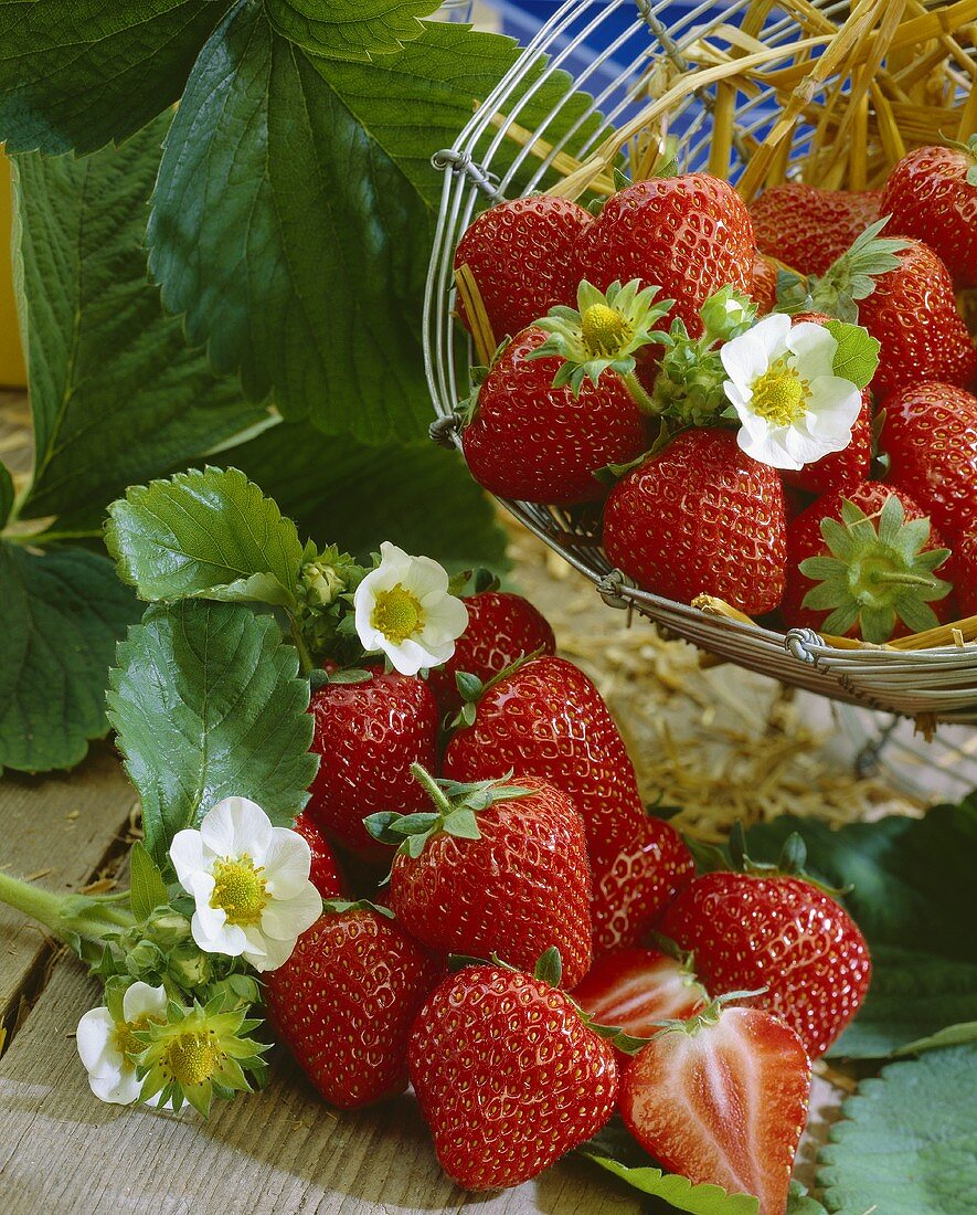 Erdbeeren mit Blüten