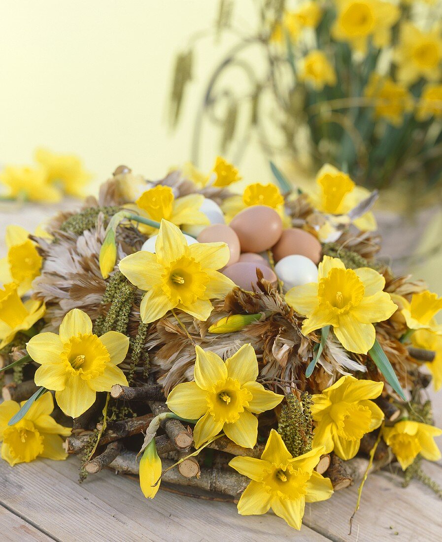 Easter nest of feathers, twigs and narcissi