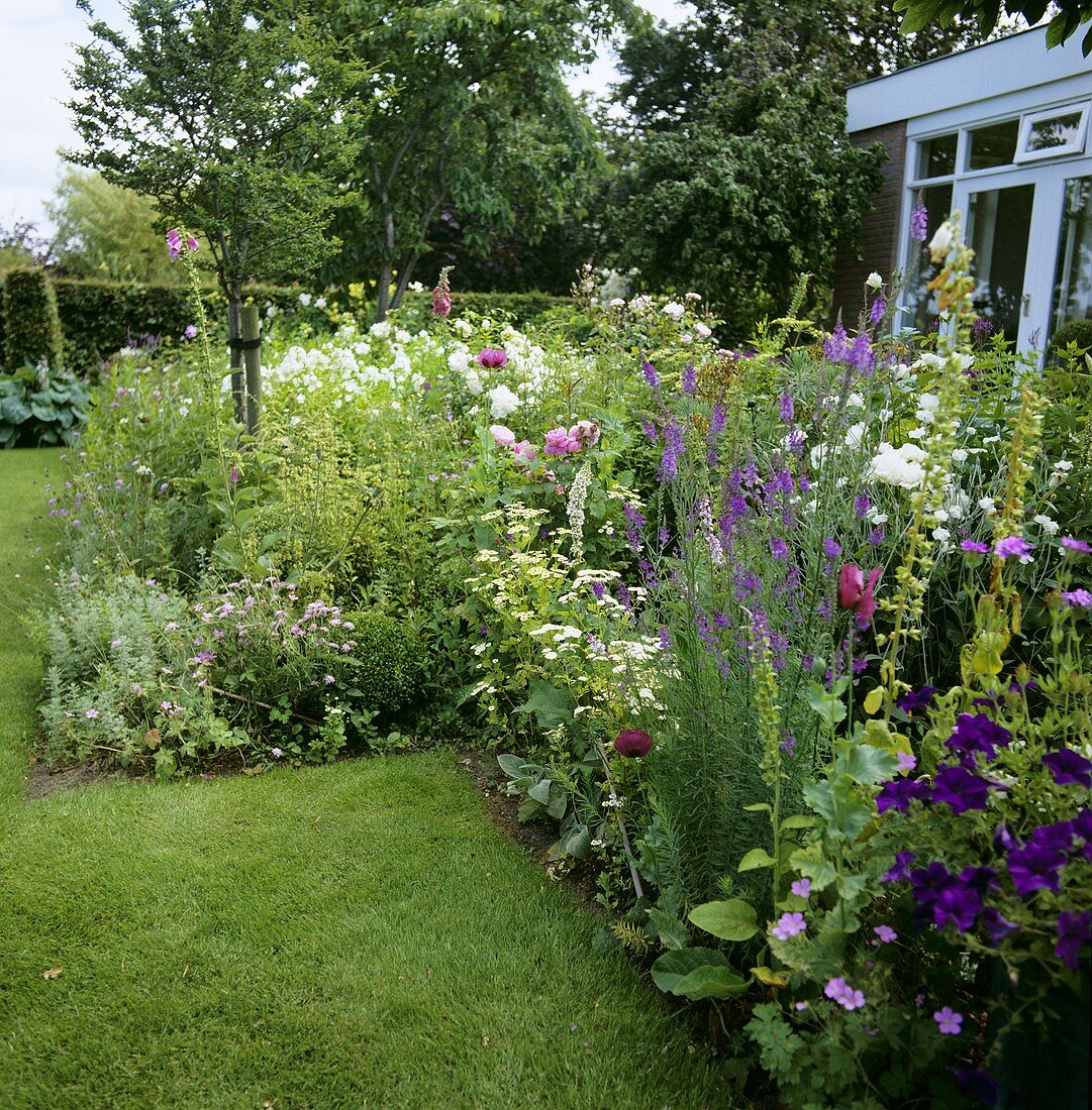 Flower garden in summer