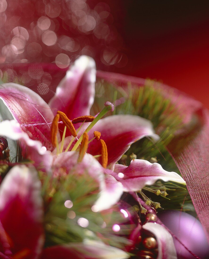 Christmas decoration with red lily (close-up)