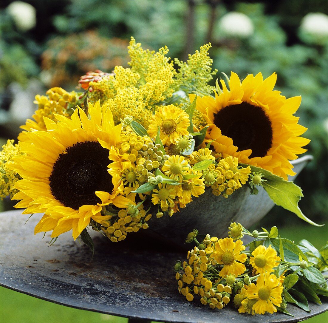 Summer flowers in bowl