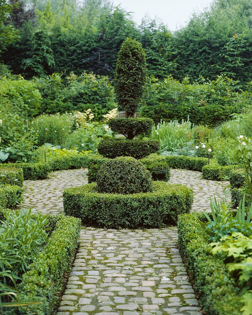 Green garden with clipped box and yew