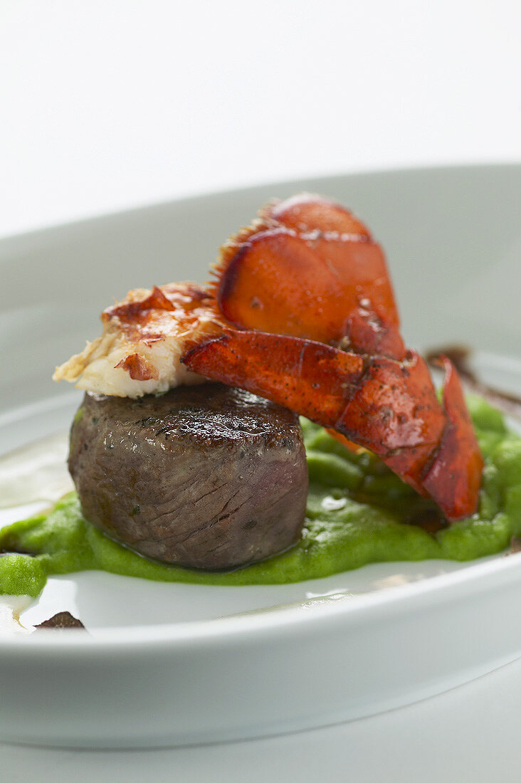 Surf and turf (Lobster with beef fillet, USA)