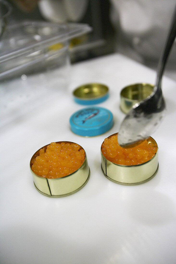 Molekularküche: Zubereitung von Melonenkaviar