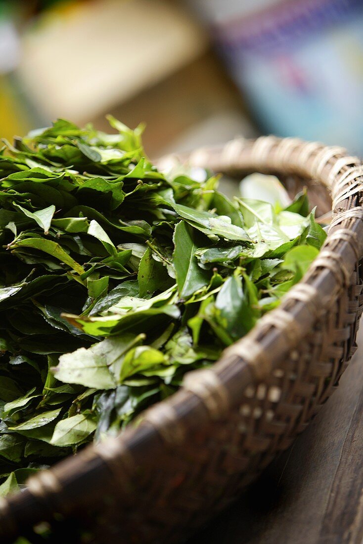 Frische Teeblätter in einer Schale auf einem Markt in Vietnam