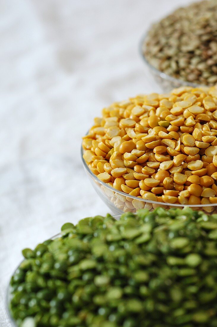 Green, yellow and brown lentils