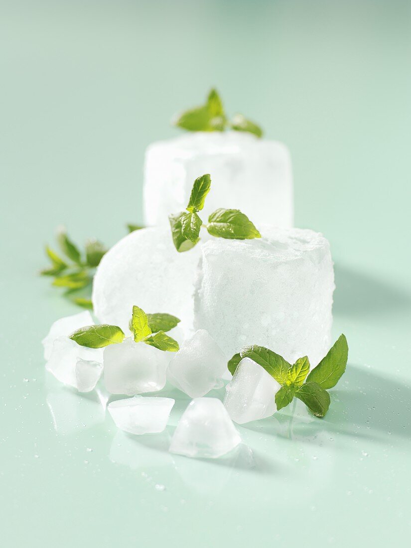 Cool and refreshing: peppermint leaves on ice cubes
