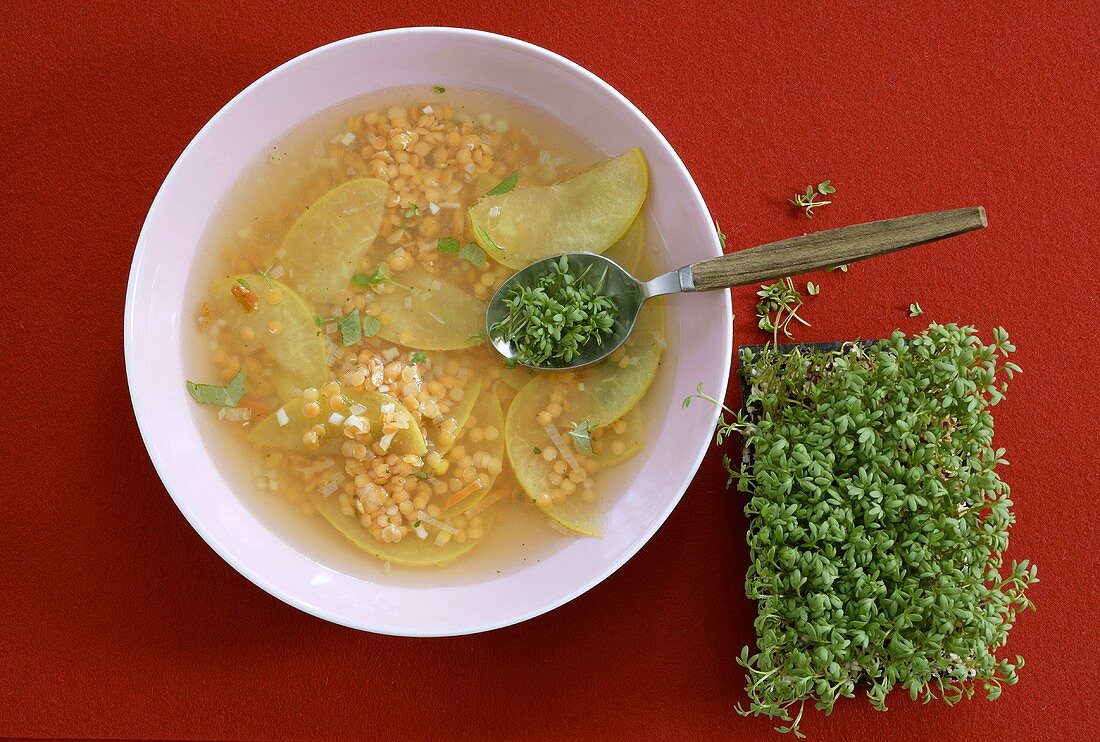 Linsen-Apfel-Suppe mit Gartenkresse