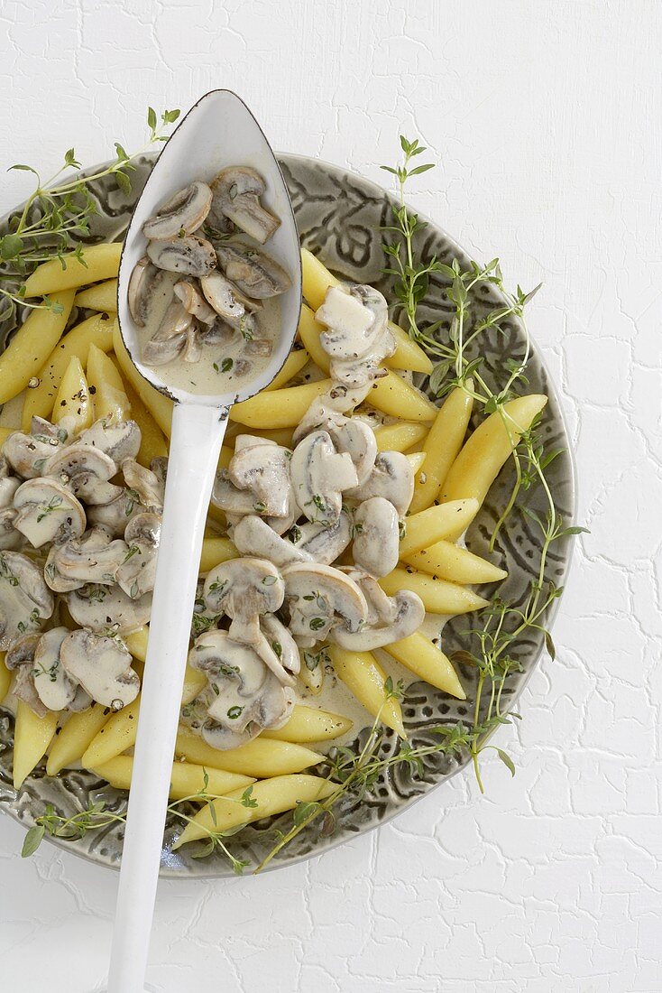 Potato noodles with mushrooms and mustard cream sauce
