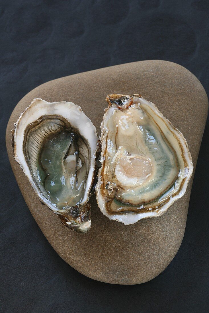 Oysters (spéciale et fine de claire, Marennes Oléron, France)