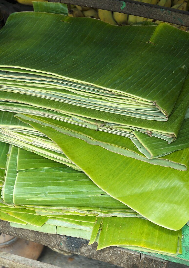 Banana leaves (popular in Asia for wrapping food)