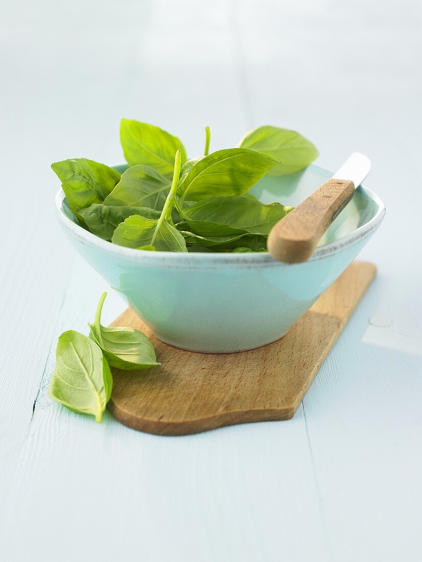 Fresh basil leaves in a small bowl, knife