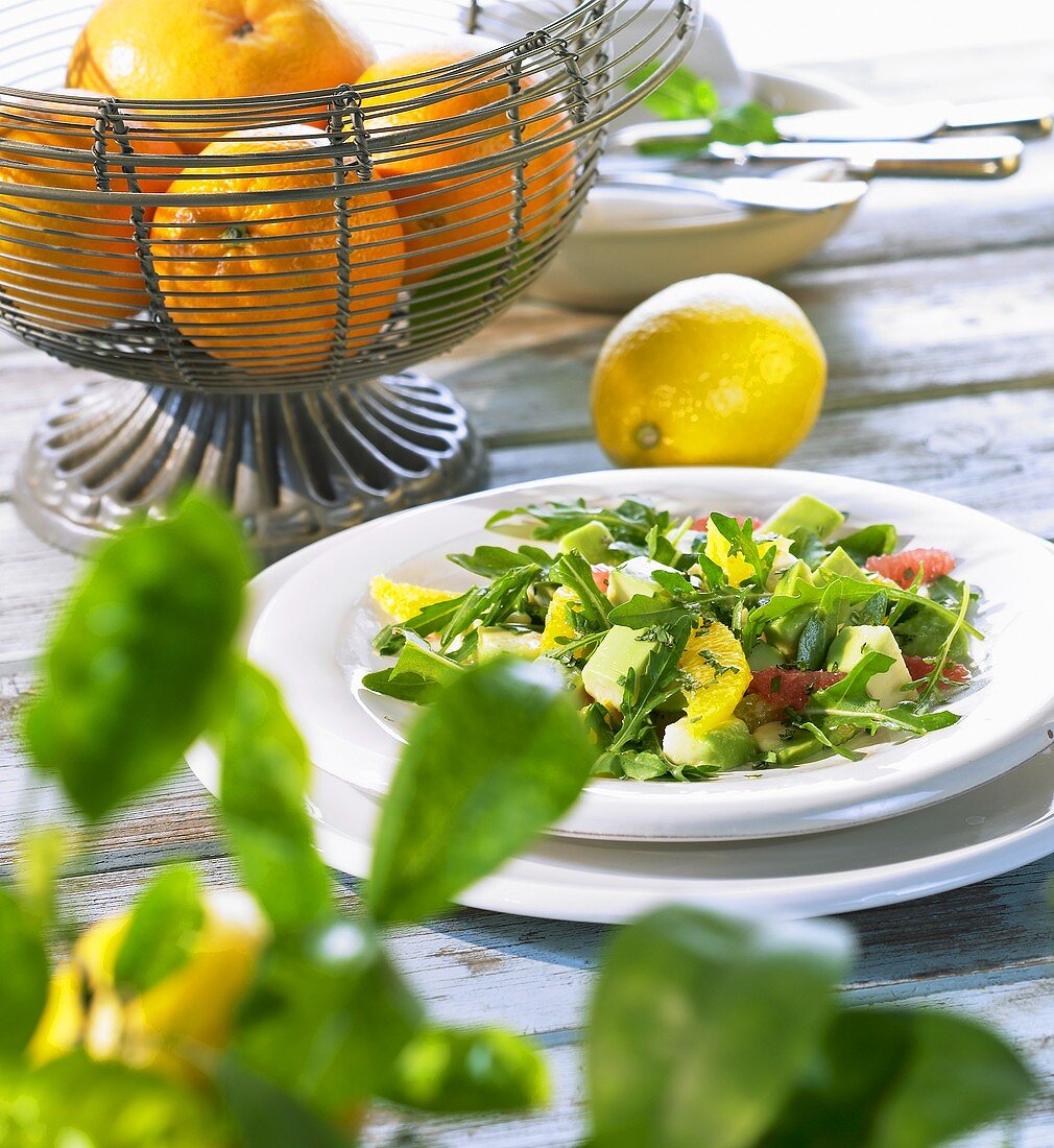 Avocadosalat mit Rucola, Orangen und Grapefruit