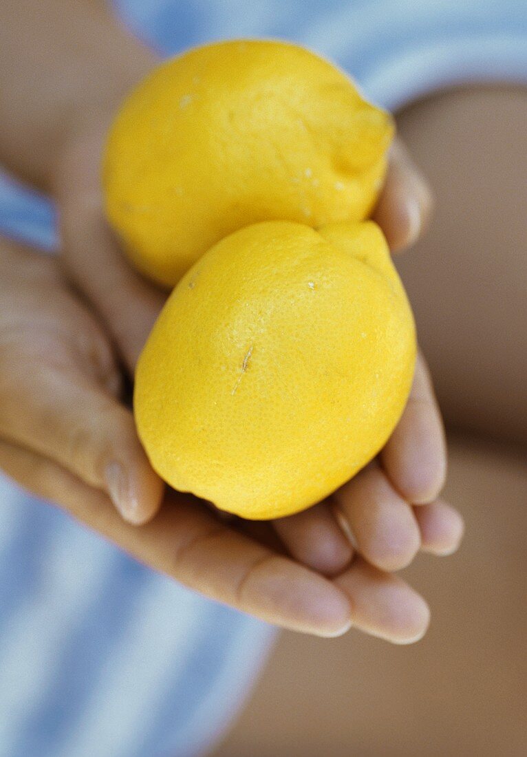 Hands holding two whole lemons