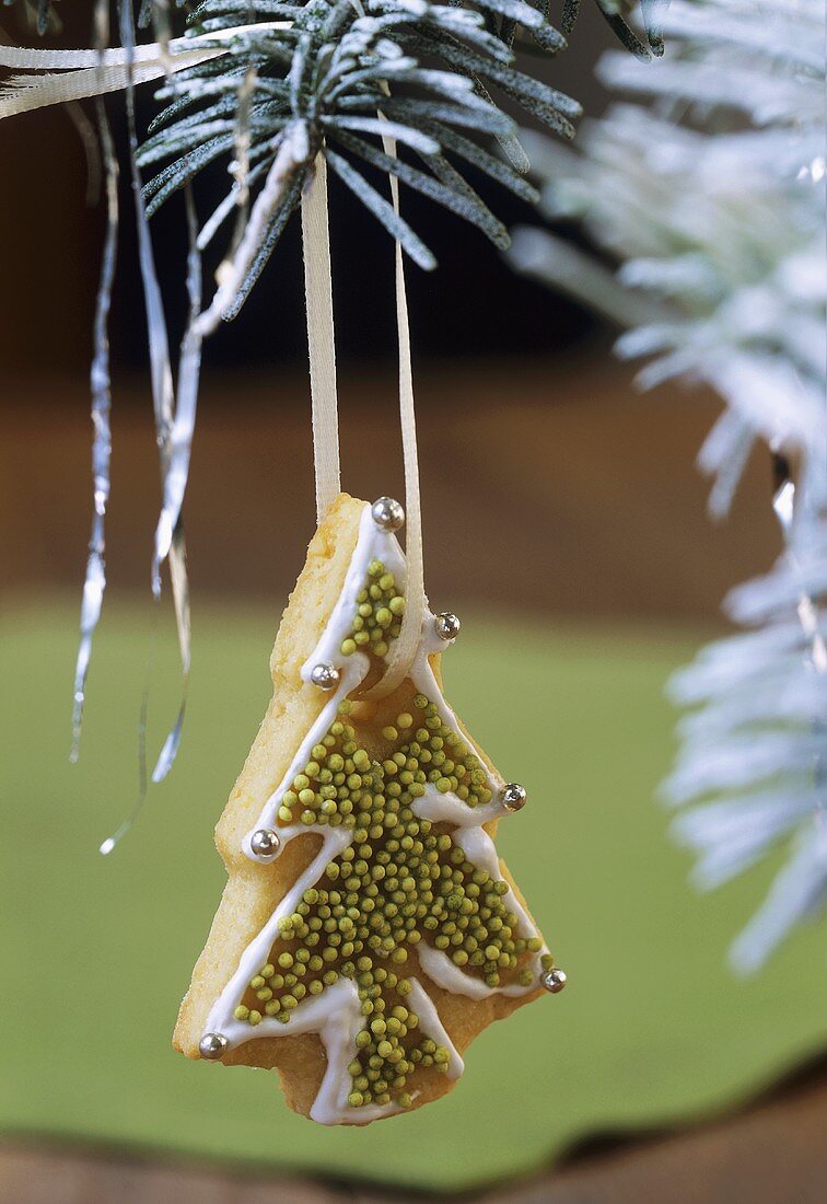 Lemon Christmas tree biscuit hanging on a fir branch