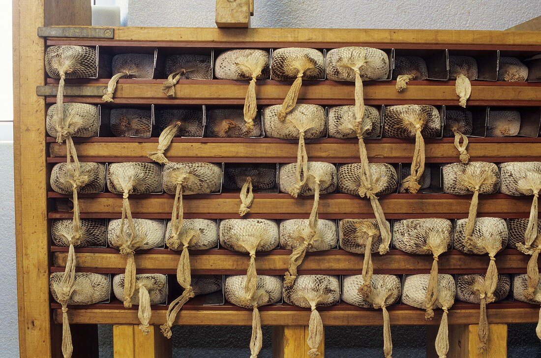 Dried meat being pressed in rectangular moulds (Graubünden)