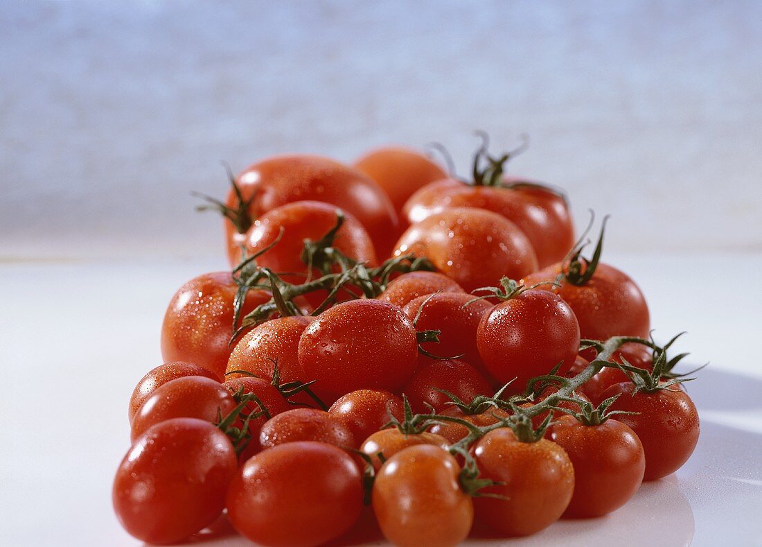 Various types of tomatoes with dewdrops