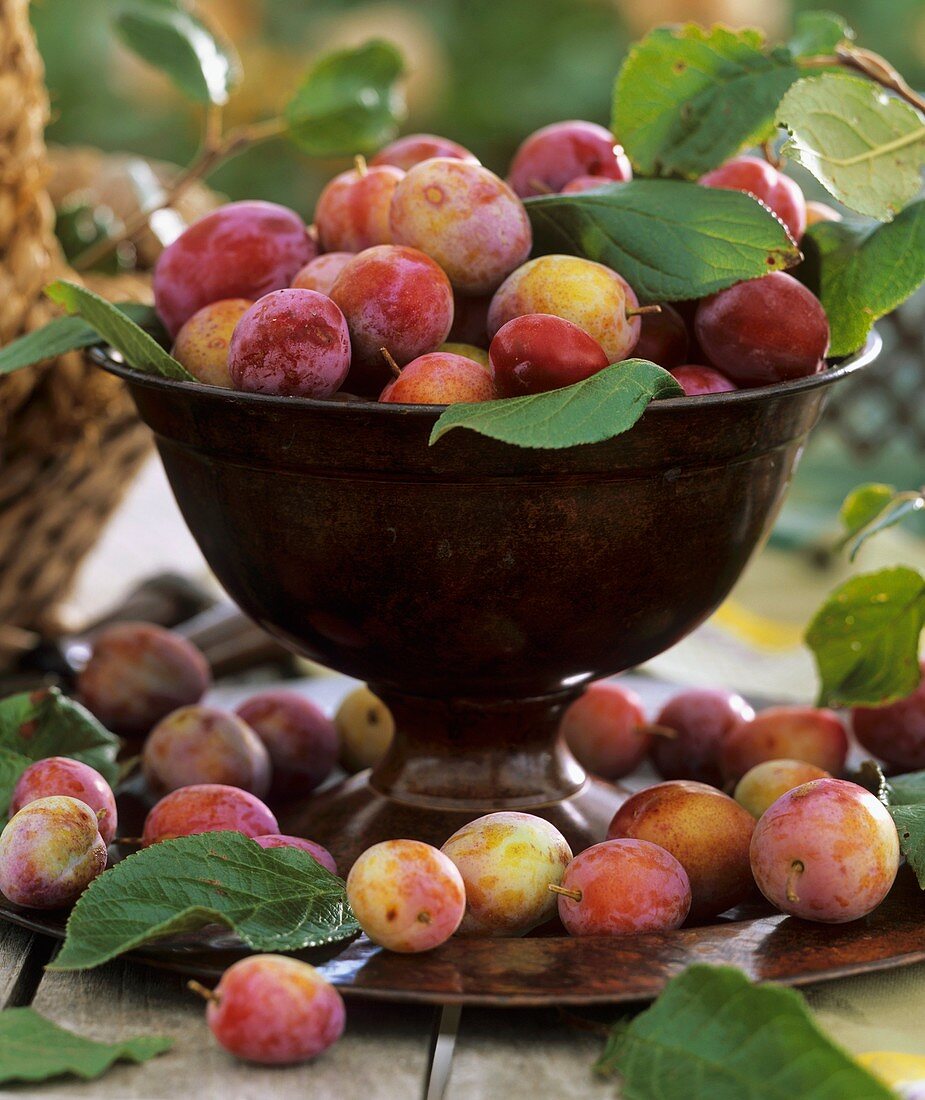 Plums with leaves in a large goblet