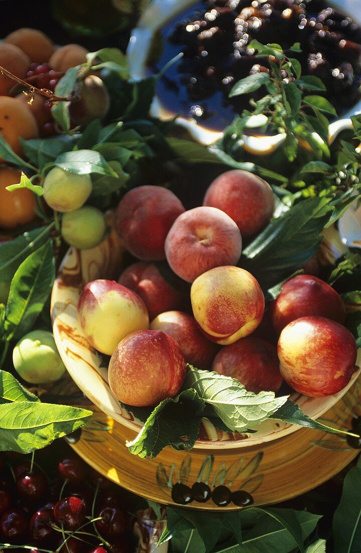 Obststillleben im Freien