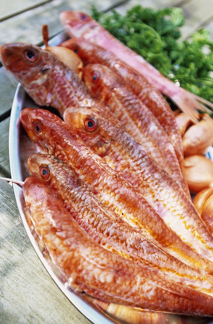 Fresh red mullet on a platter