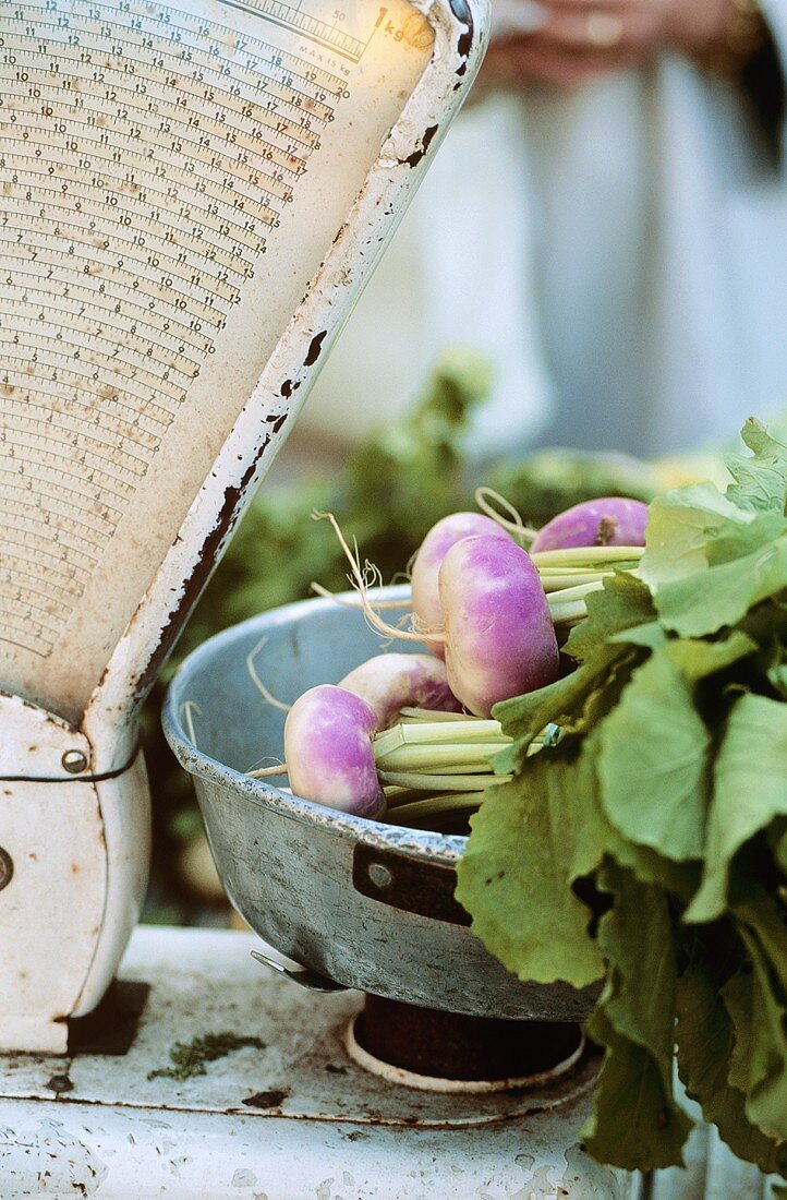 Turnips on old scales