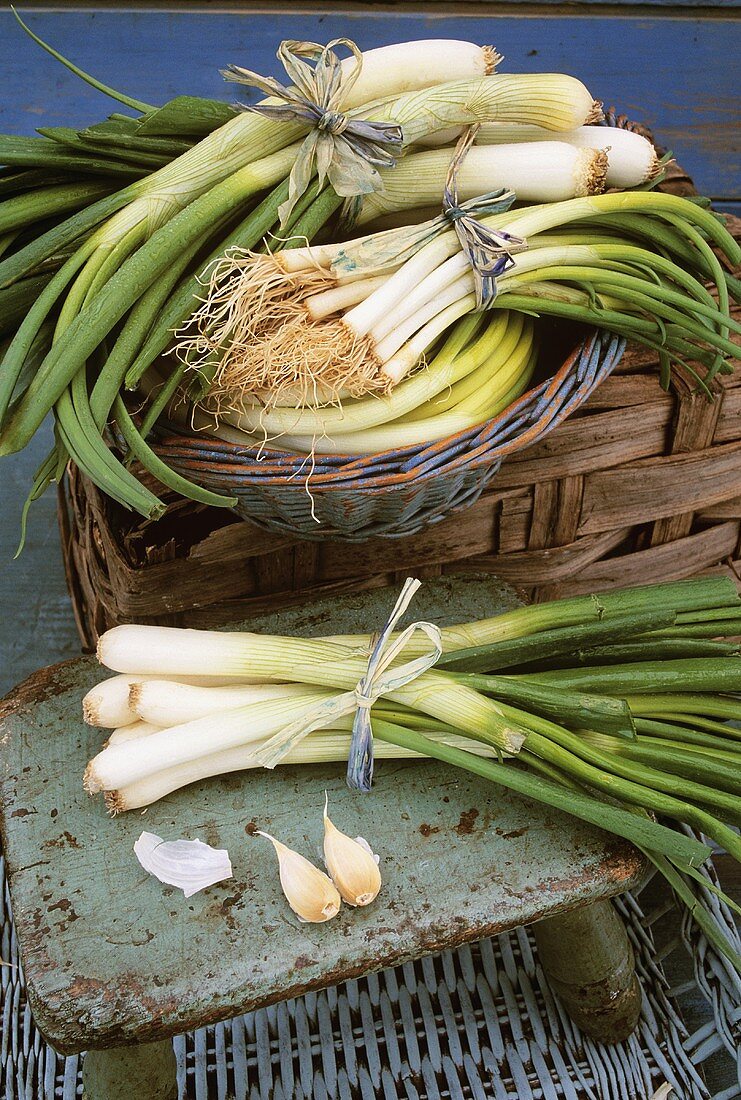 Leeks and spring onions in small basket and on a stool