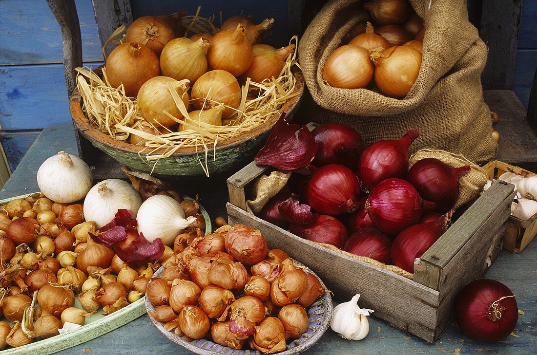 Various types of onions on a wooden table