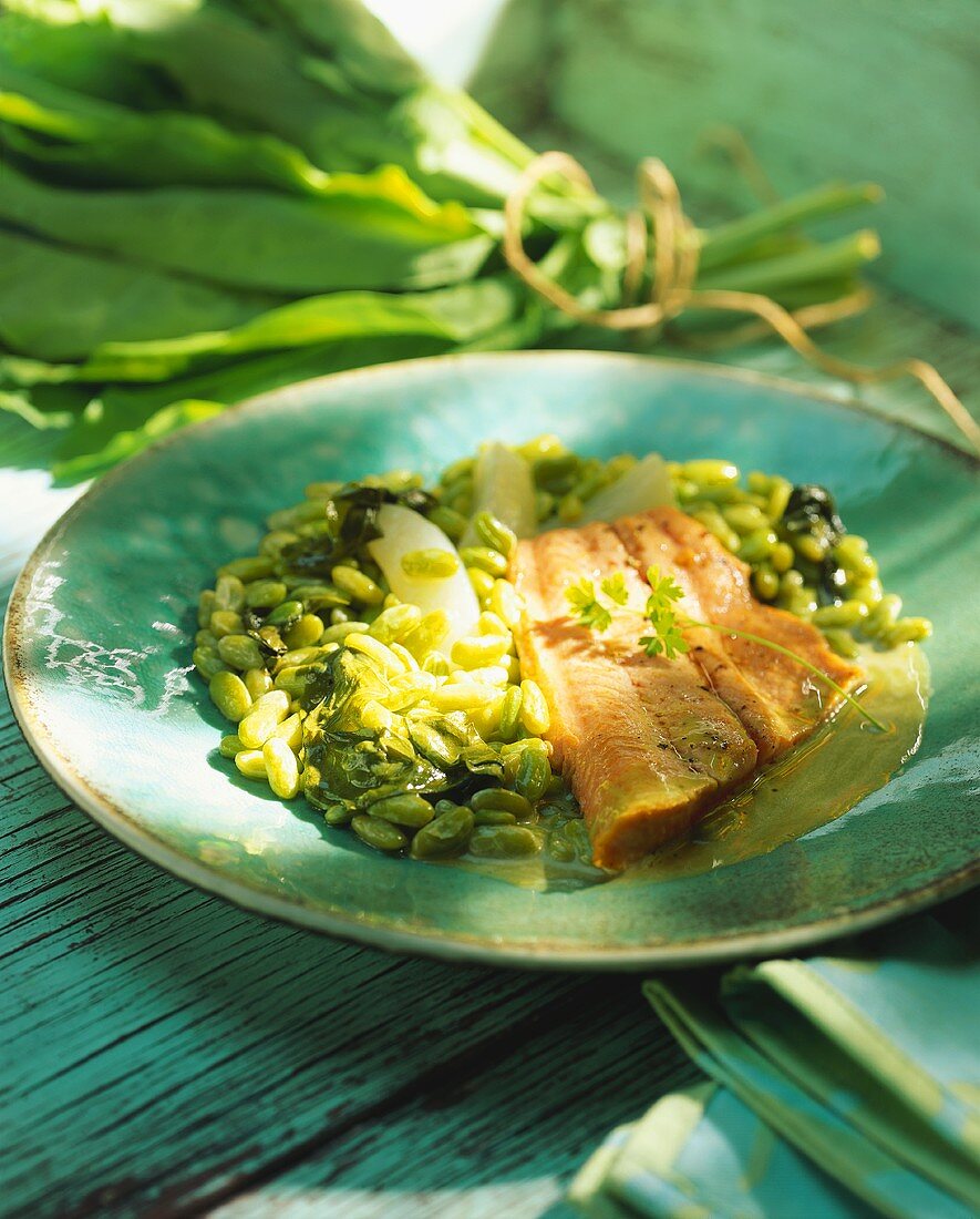 Salmon trout fillet with soya beans and sorrel sauce