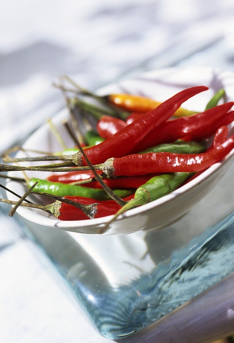 Green and red chillies in a small dish