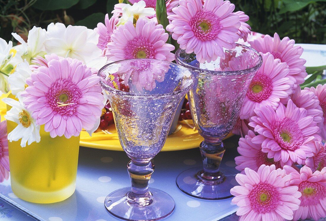 Rosa Gerbera in Gläsern im Freien