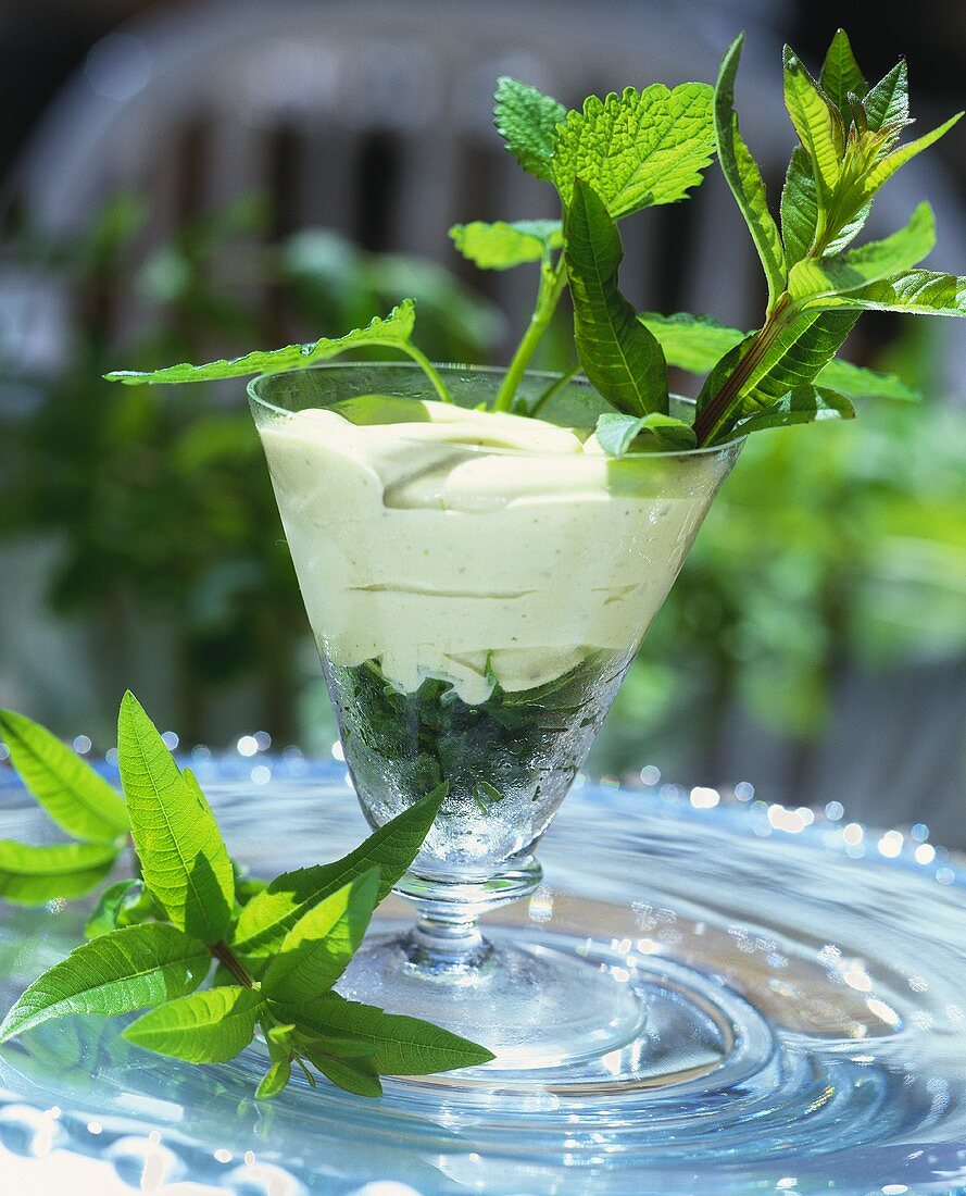 Vanilla cream with mint and lemon balm in a glass