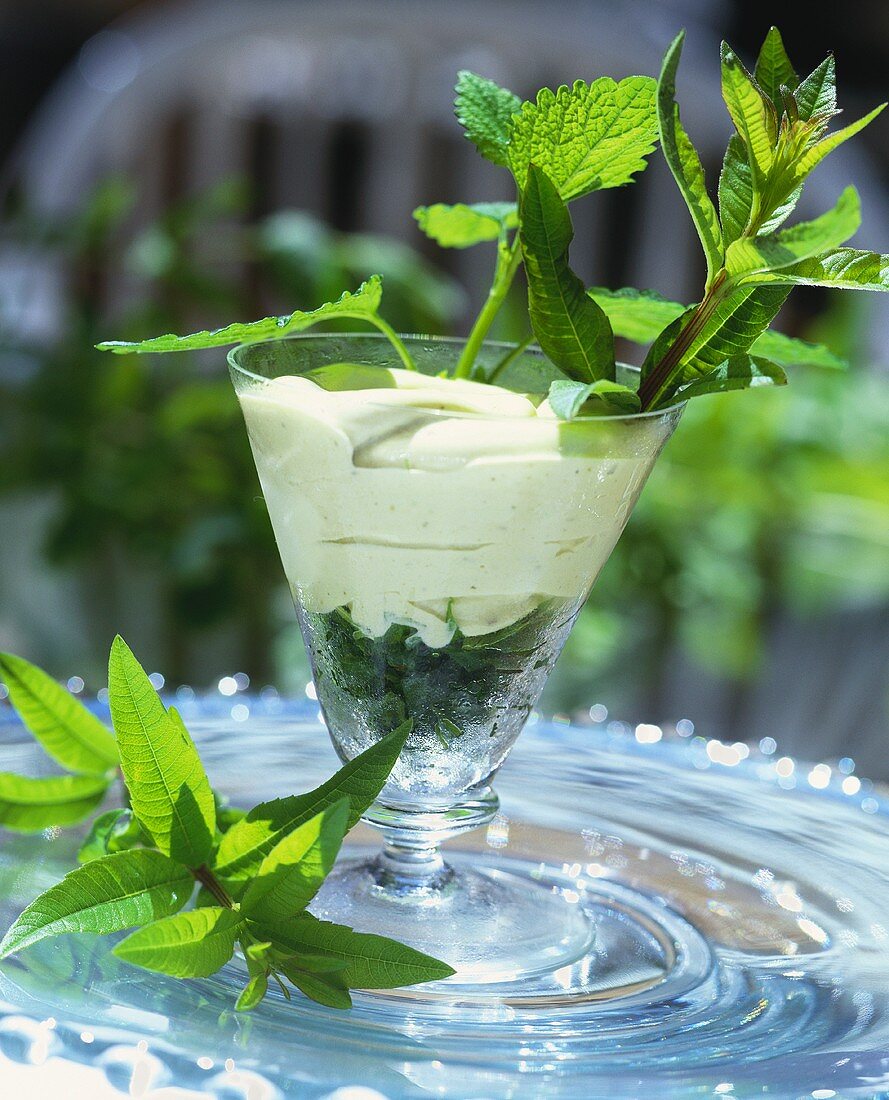 Vanillecreme mit Minze und Zitronenmelisse im Glas